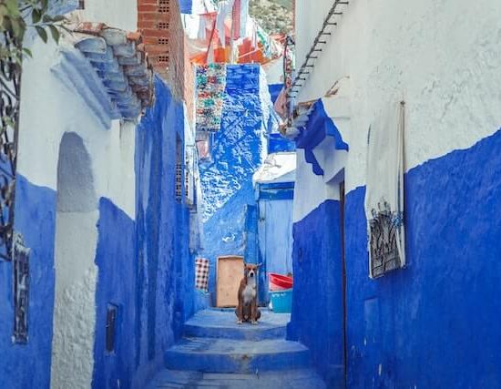 lets-go-2-morocco-10-day-tour-of-morocco-blue city