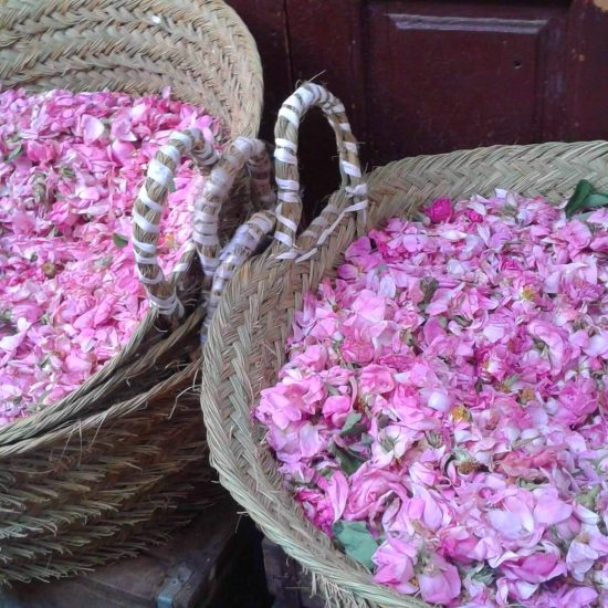lets-go-2-morocco-baskets-of-freshly-harvest-roses-in-the-souk-fes-to-marrakech-via-sahara-desert