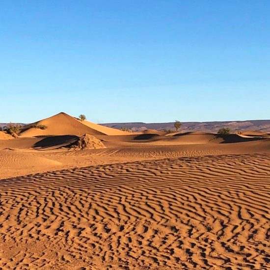 lets-go-2-morocco-sahara-dunes-fez-to-marrakech-via-sahara-desert