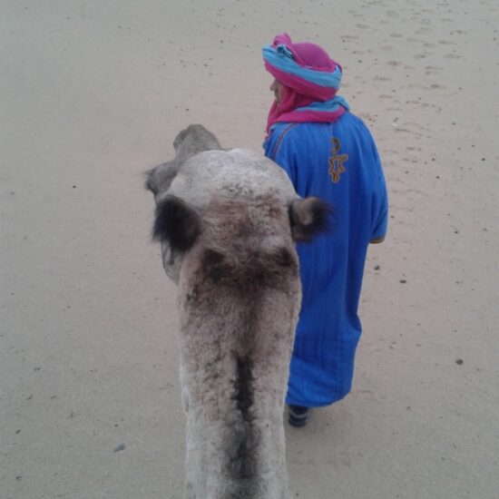 letsgo2morocco-camel-ride